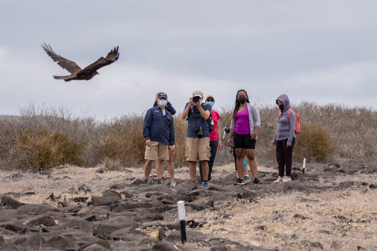 galapagos photography