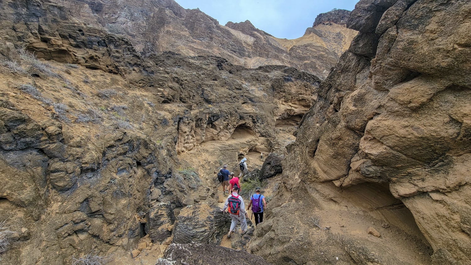 punta pitt galapagos hike