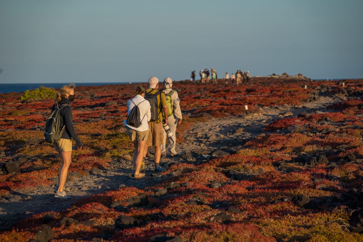 vacation to galapagos island package - galapagos tour package