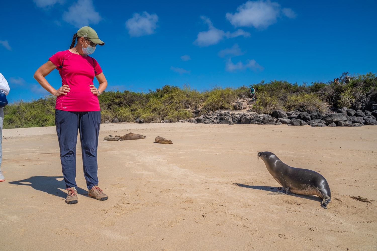 galapagos wildlife no fear