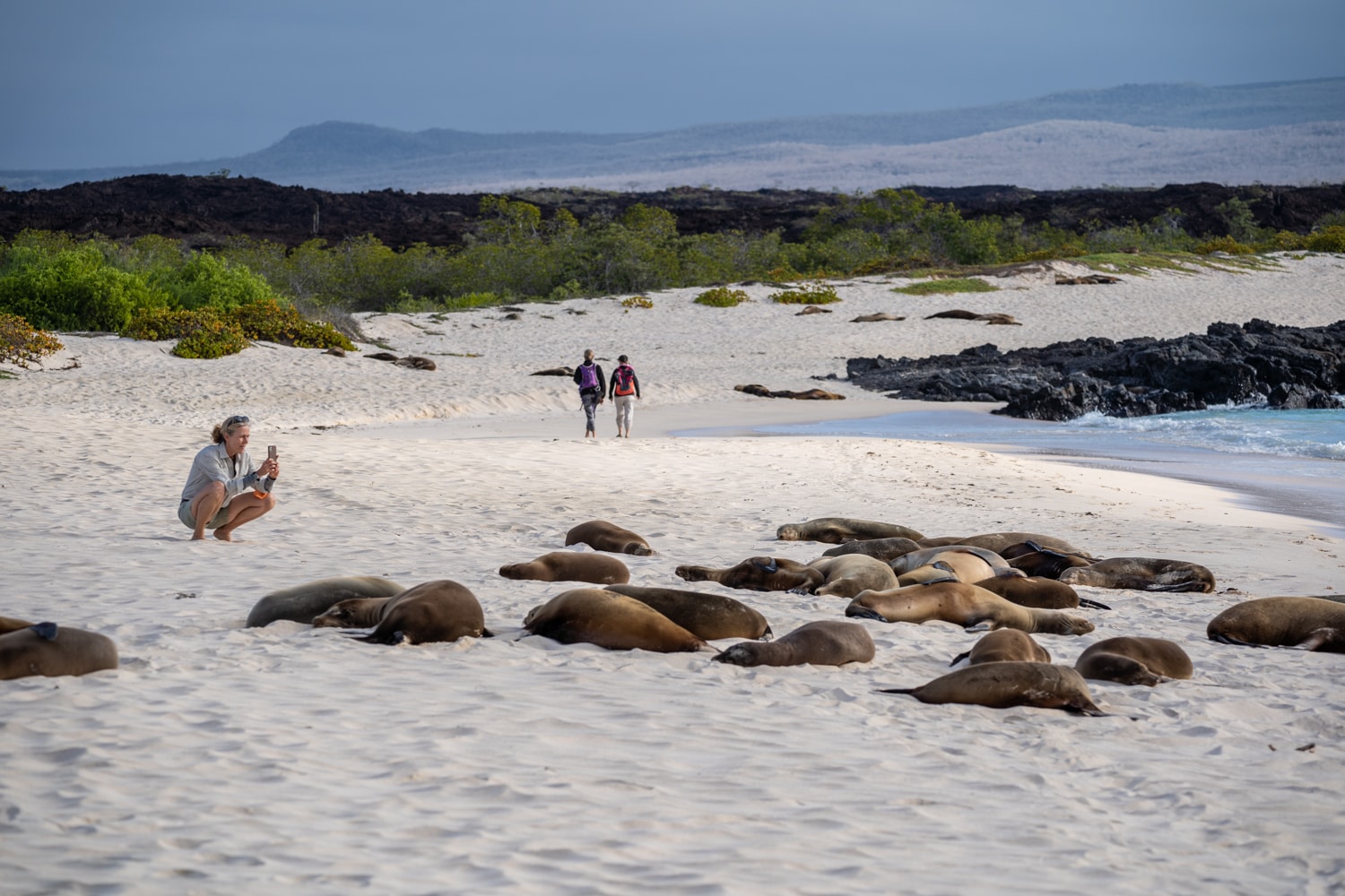 galapagos island hopping beaches