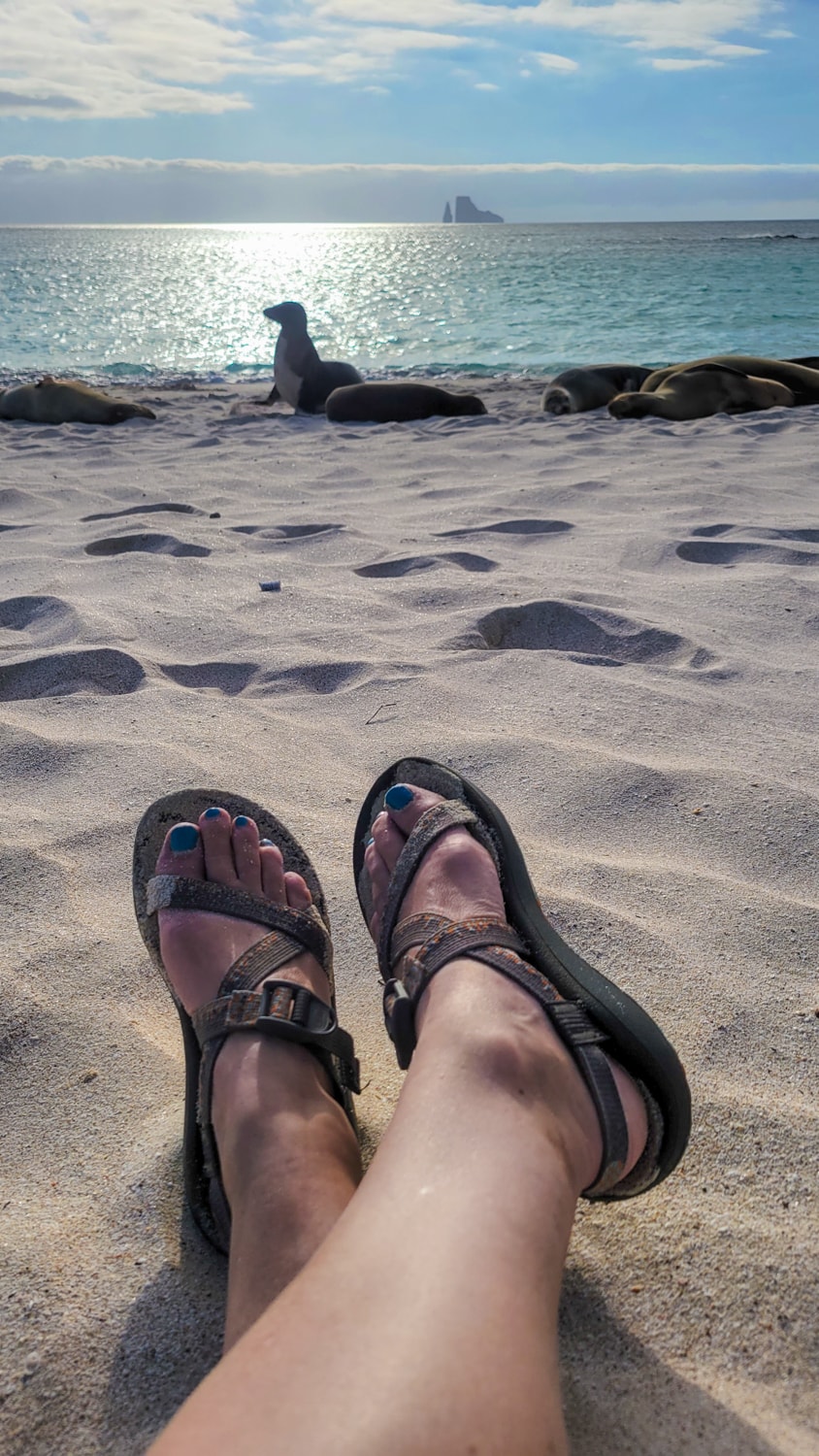 galapagos beaches