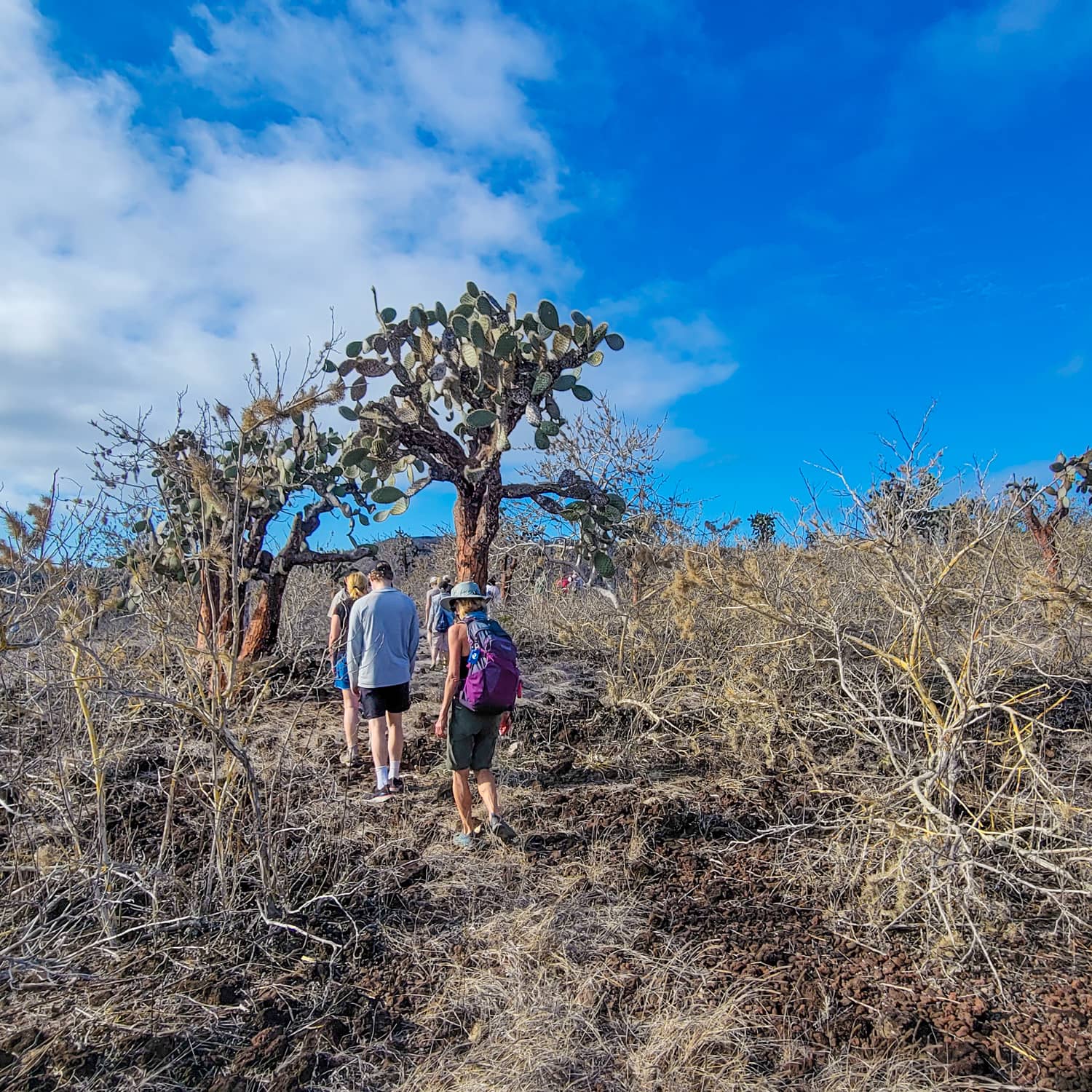 galapagos dry environment