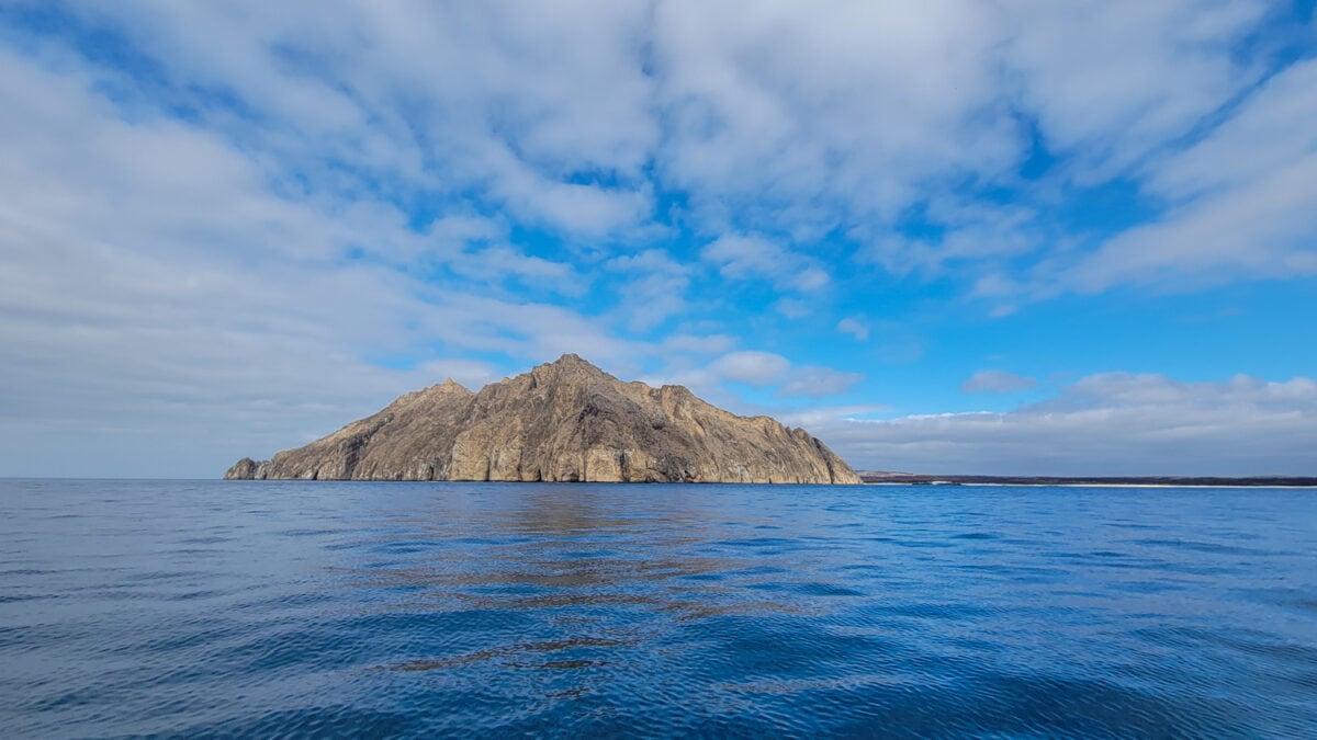 Colonizing the Galapagos Islands - all inclusive trips to galapagos islands