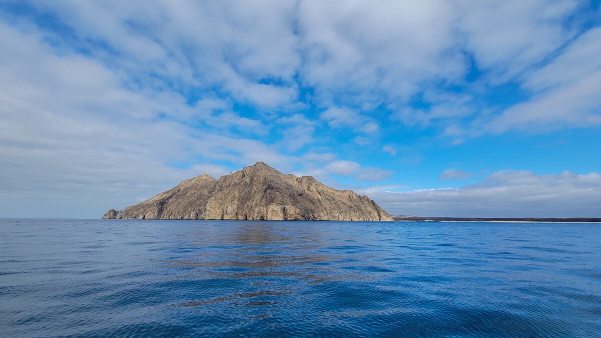 Colonizing the Galapagos Islands