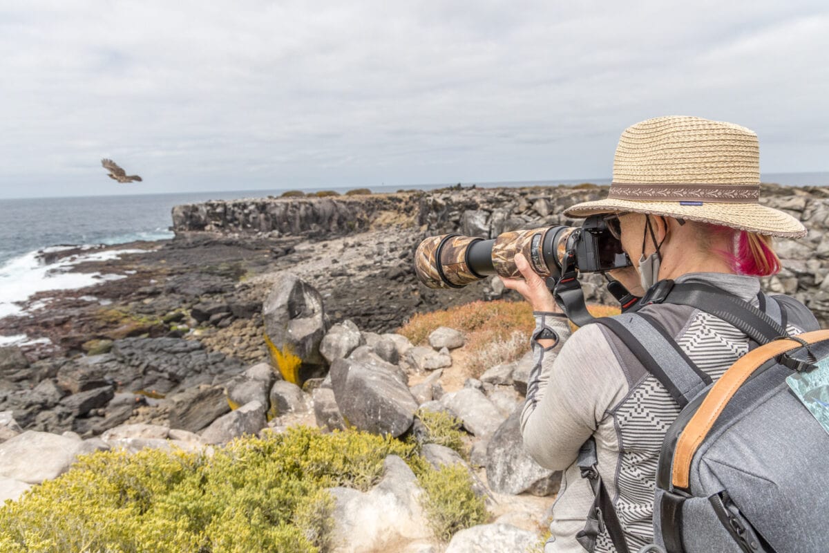 galapagos wldlife photography