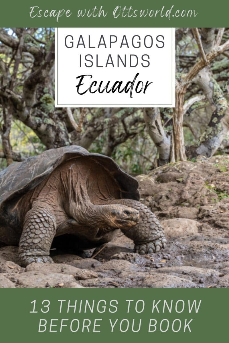 Things To Know Before You Book a Galapagos Islands Vacation