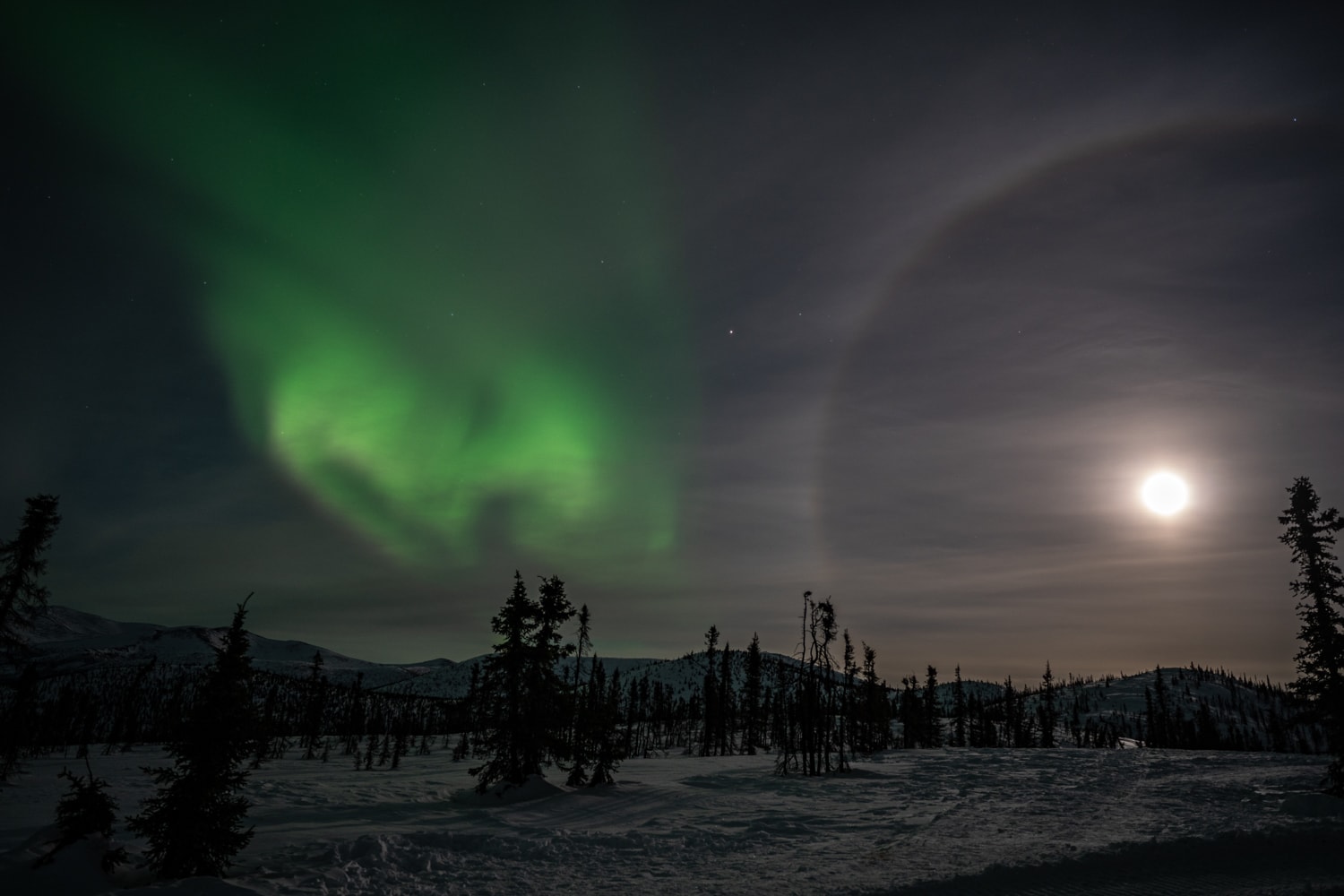 alaska aurora tour