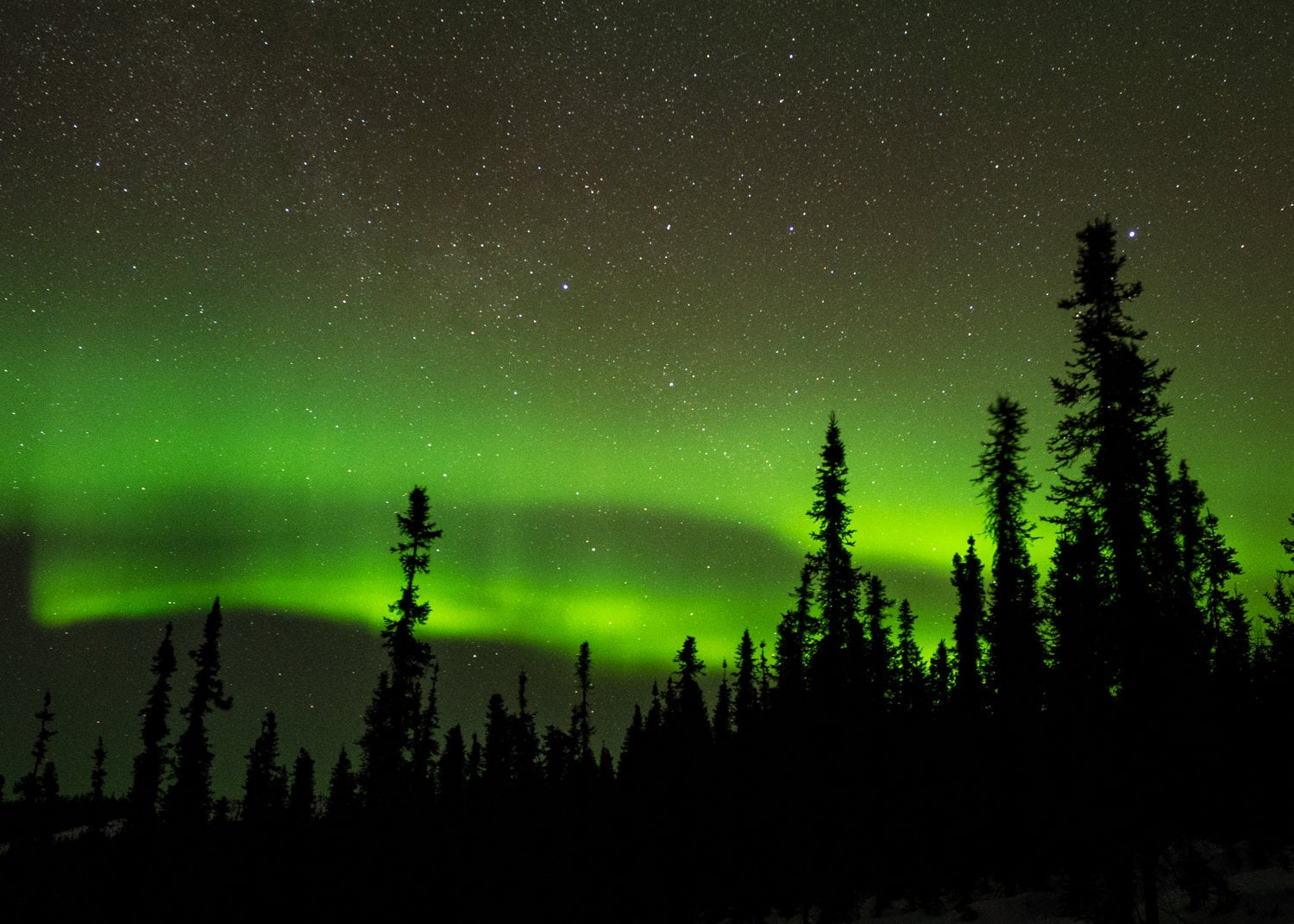 alaska aurora tour