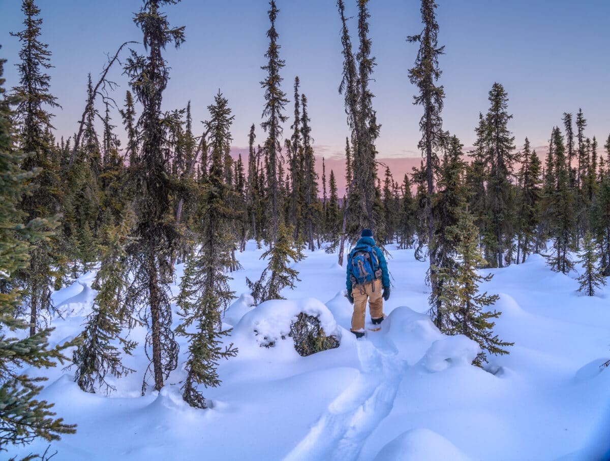 snowshoeing fairbanks