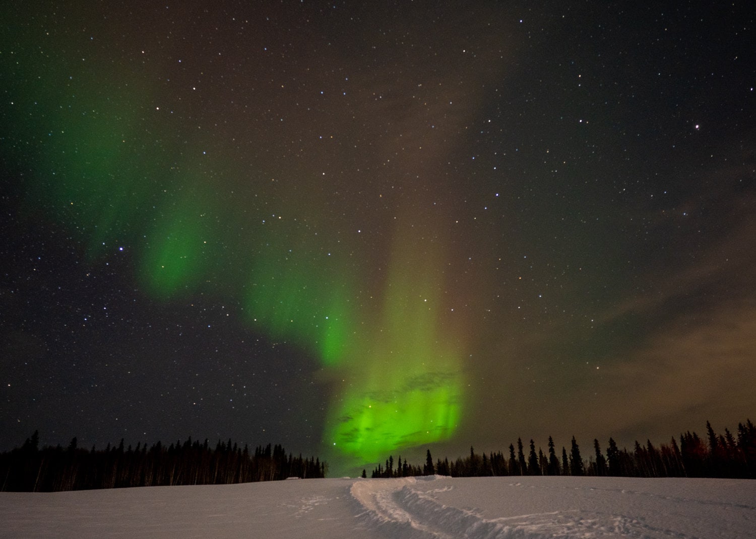 alaska northern lights tour