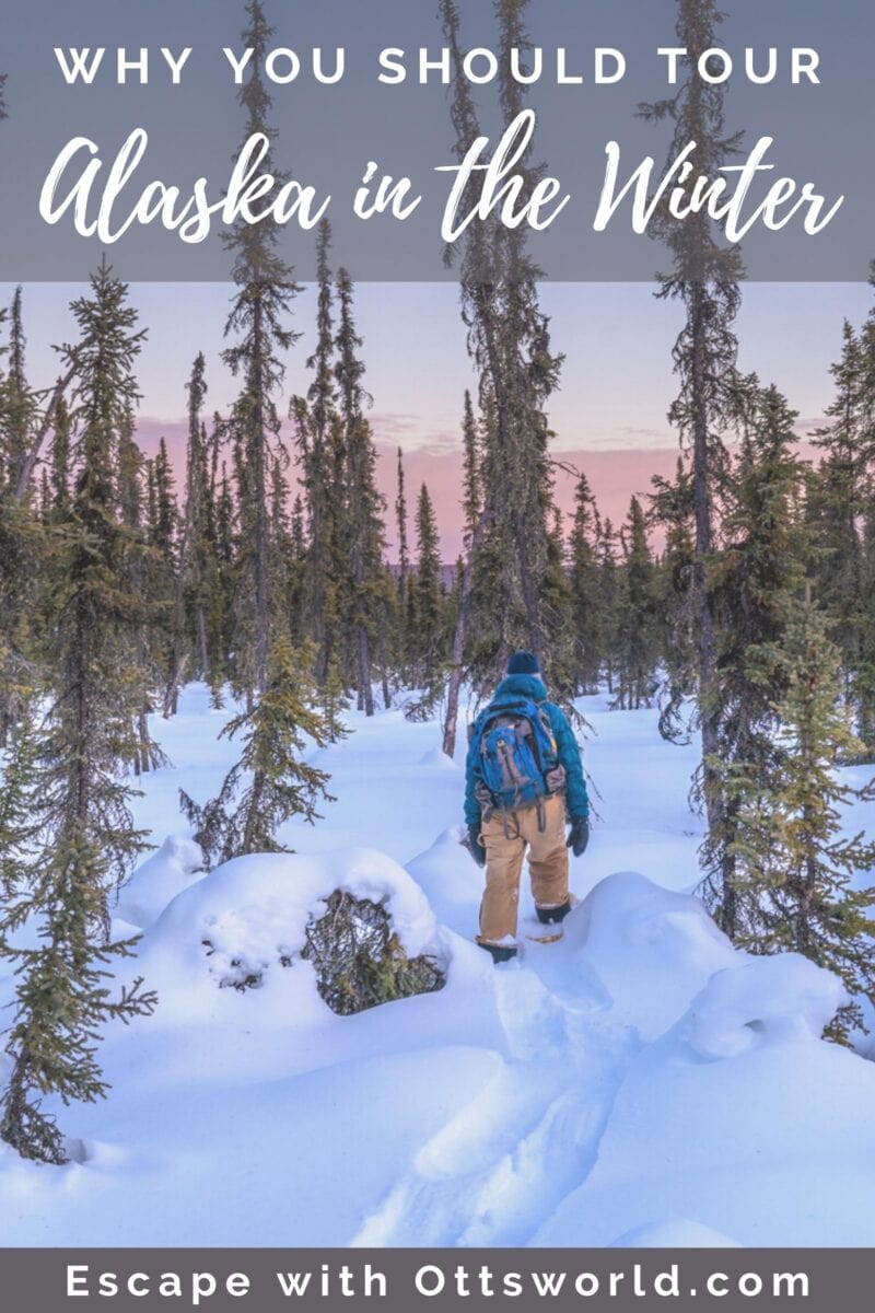 Discover Alaska in the winter