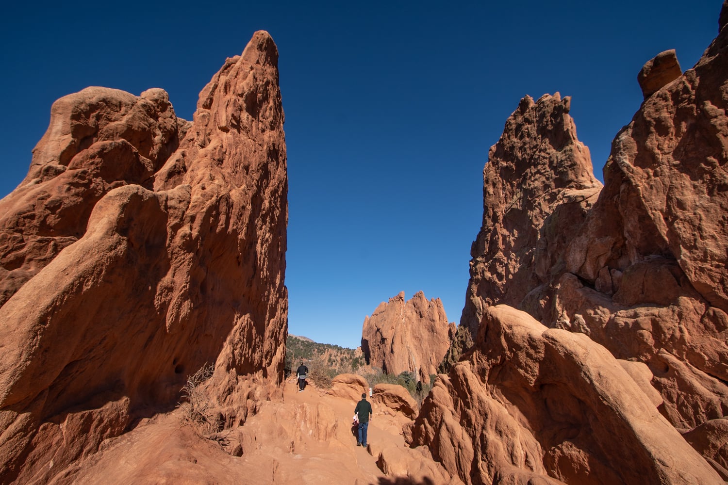 garden of the gods colorado springs