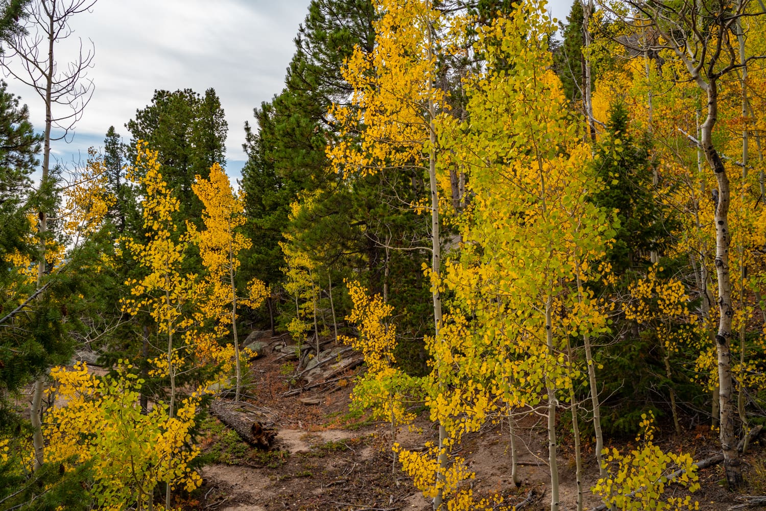 fall weekend in colorado springs