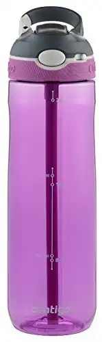 Contigo Autospout Water Bottle