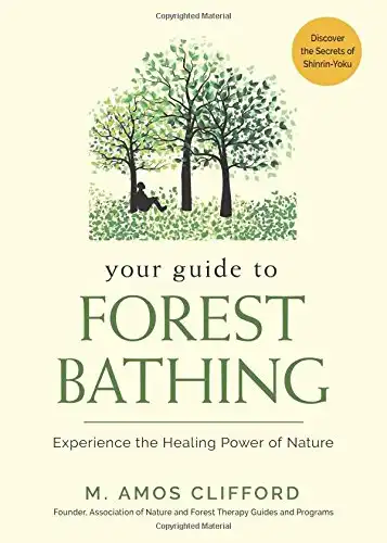 Your Guide to Forest Bathing