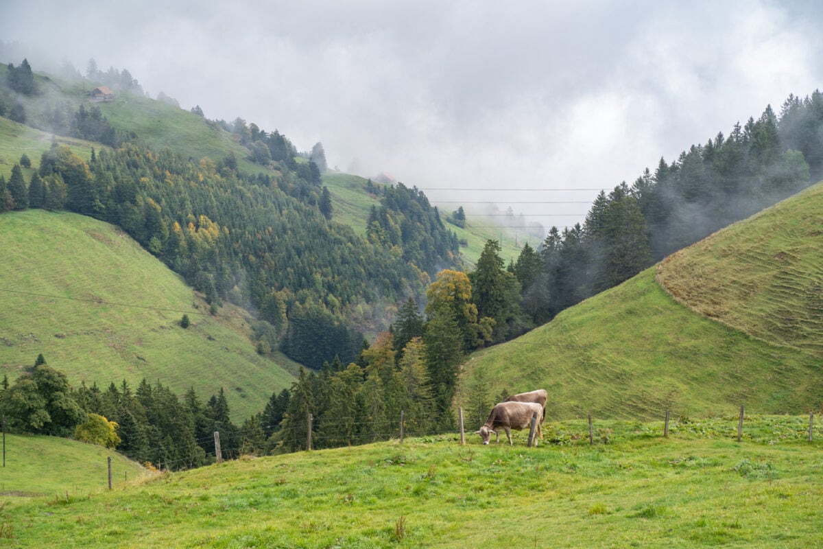 lake lucerne hiking