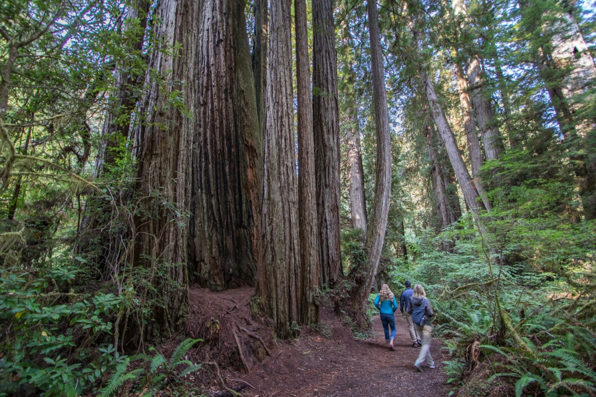 Northern California Oregon Road Trip Filled with Adventures