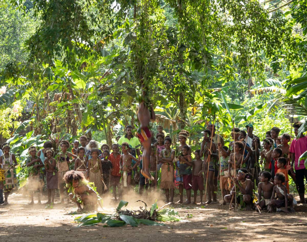 Frog Tree Dance South Pacific