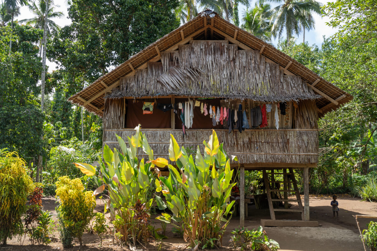 Village Hut South Pacific