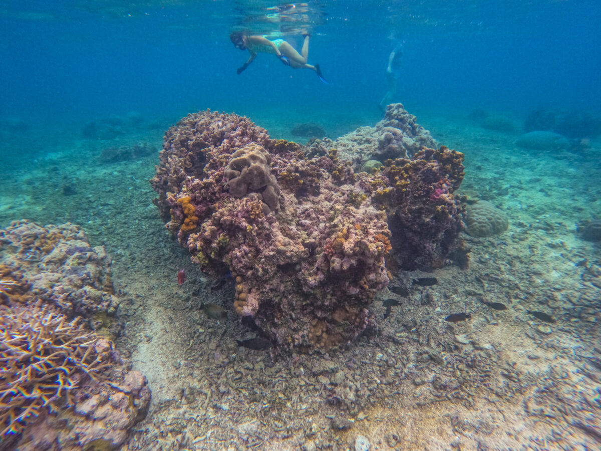 South Pacific snorkeling