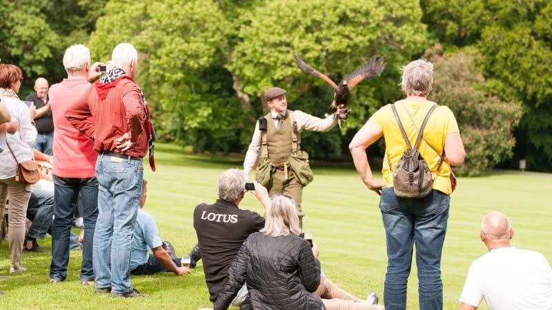 Ireland Falconry