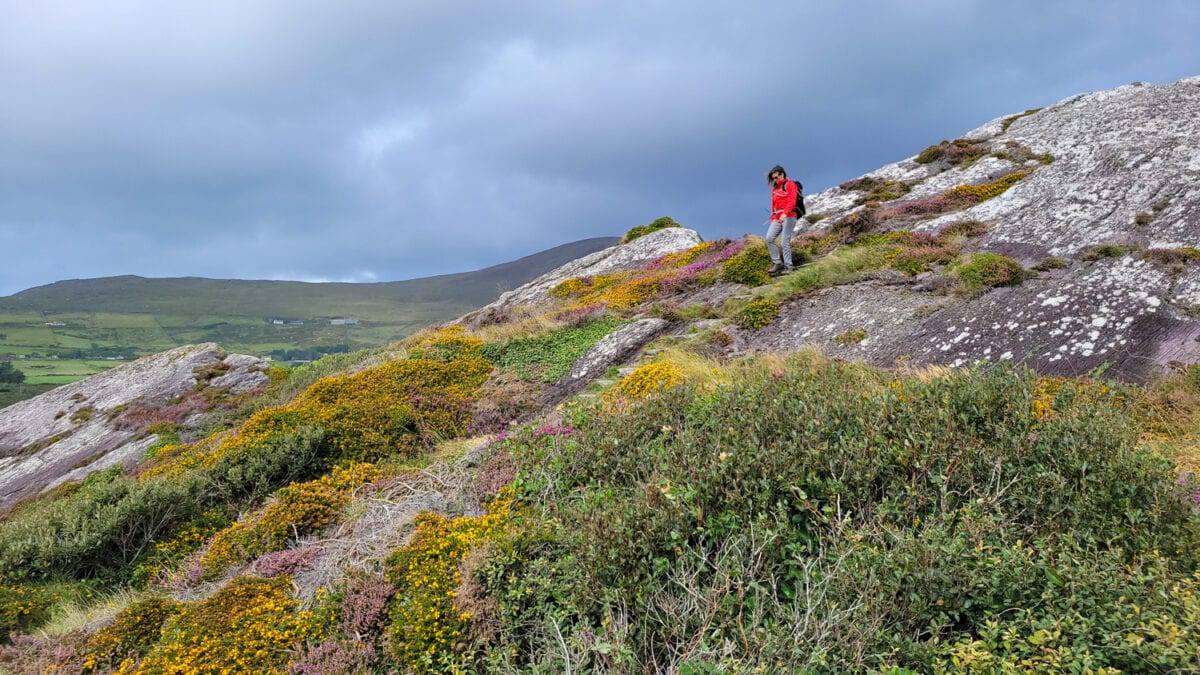 Kerry Way hike