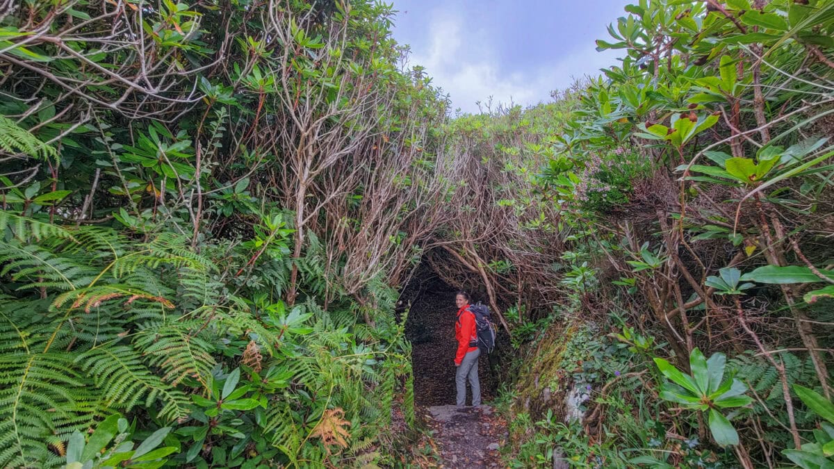 Kerry Way trail