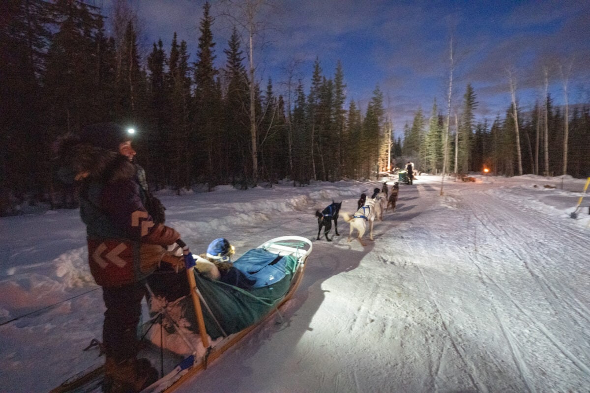 Fairbanks dog sledding