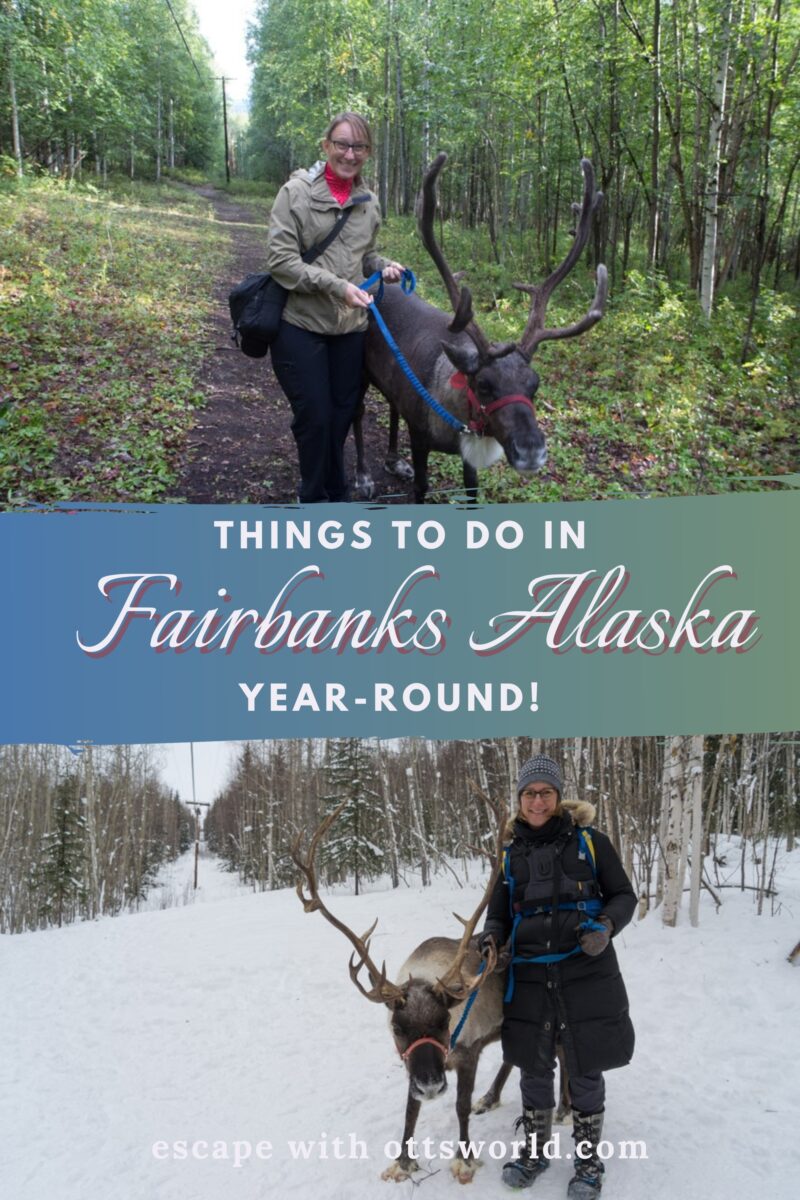 Things to do Fairbanks Alaska Year Round Winter Summer