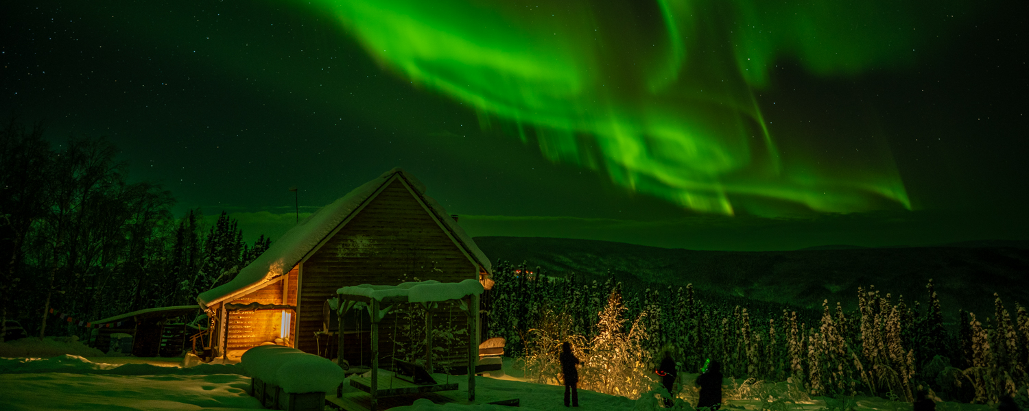 Fairbanks Alaska Northern Lights Tour Feature