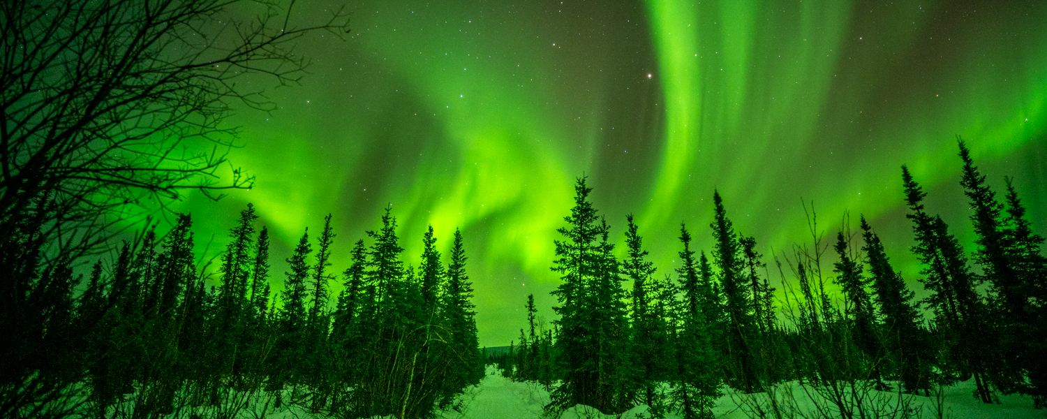 Northern Lights Photography feature