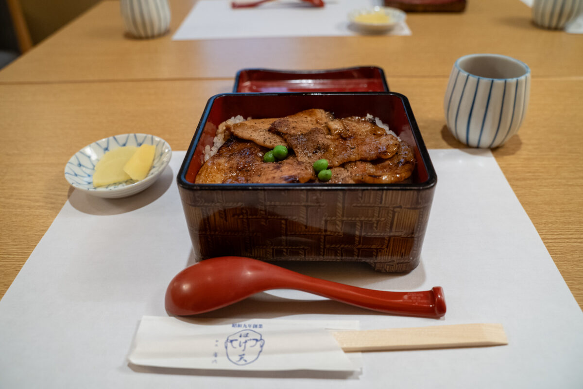 buta-don Food in Tokachi