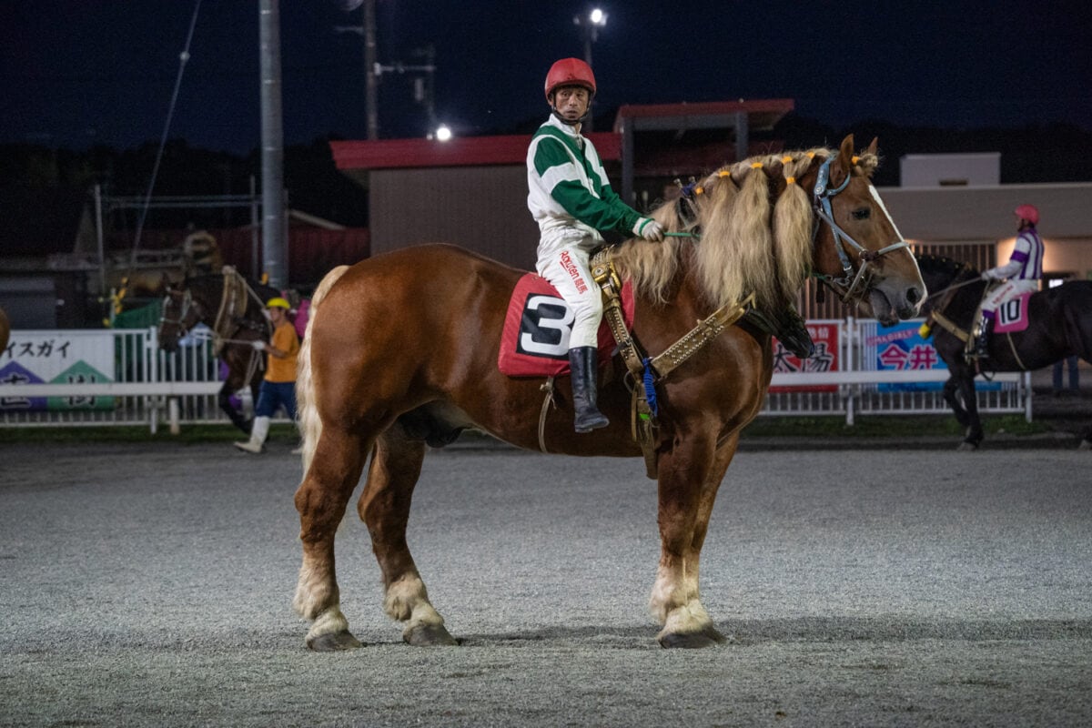 Tokachi typhoon horse