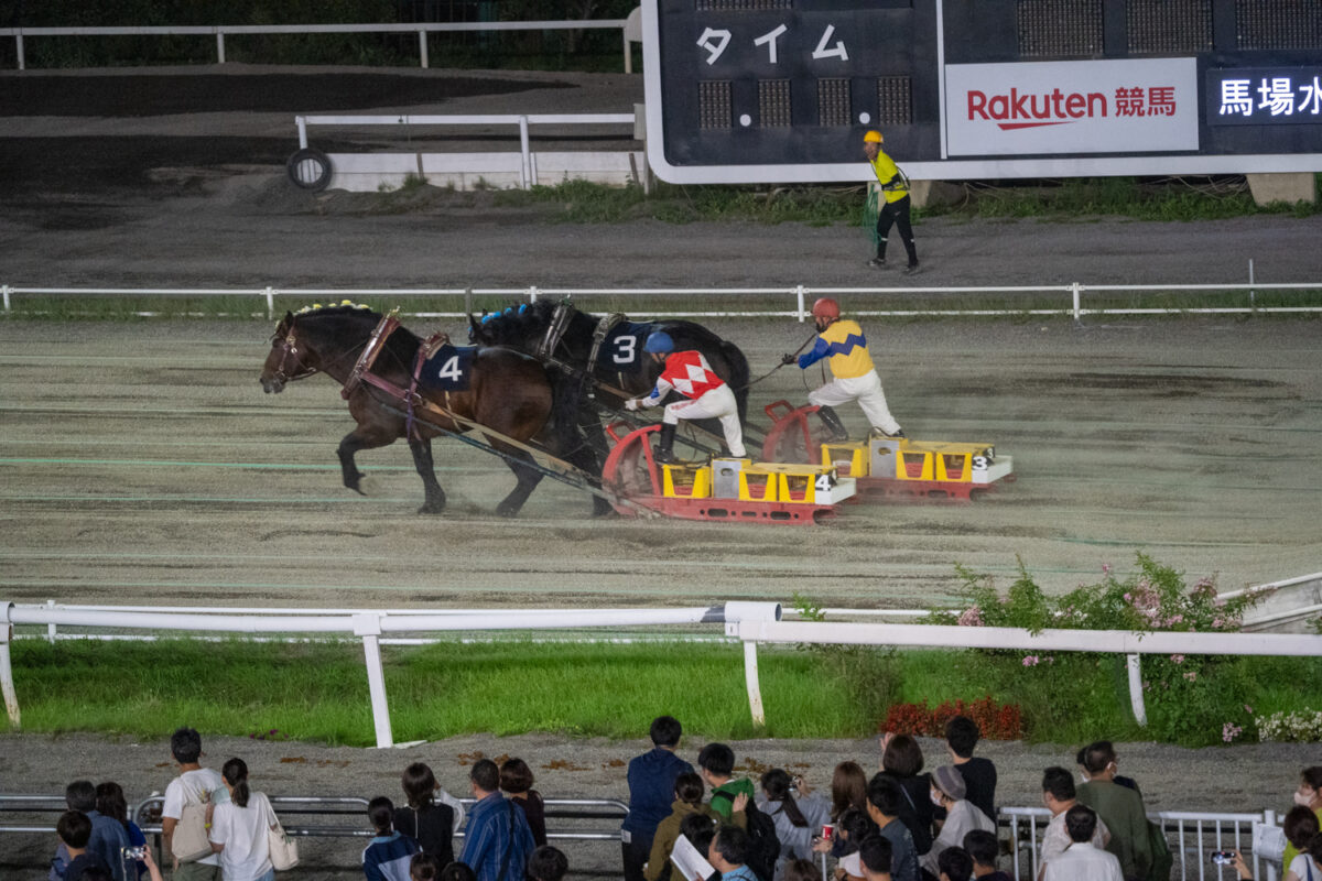 rare Banei horse races tokachi japan
