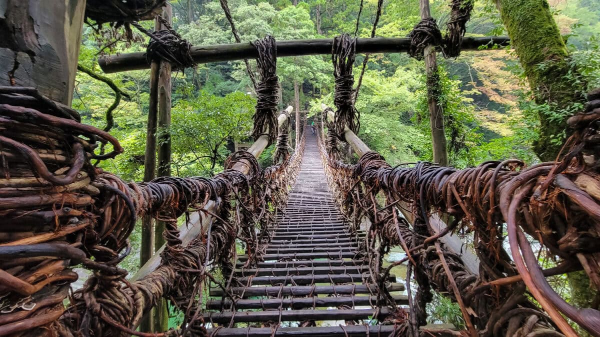 Iya Valley vine bridge