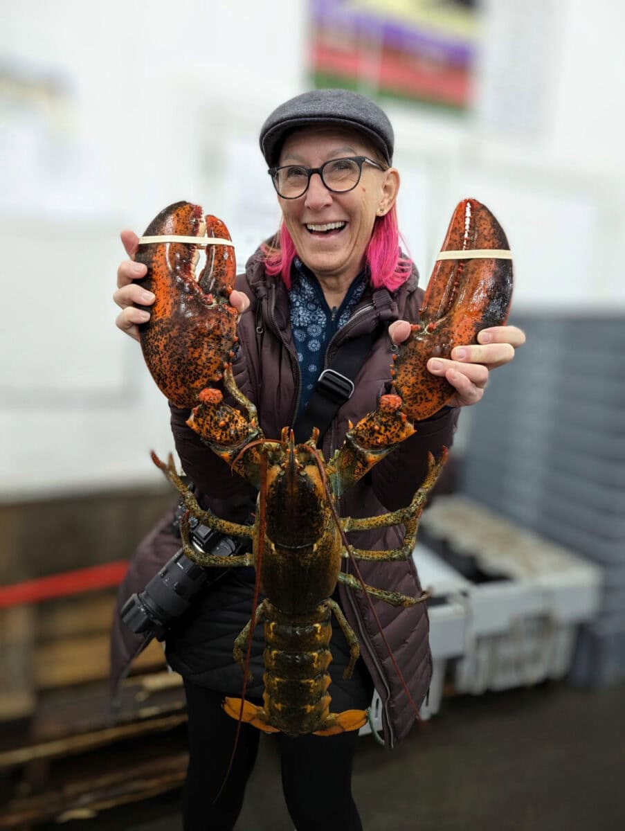 nova scotia lobster