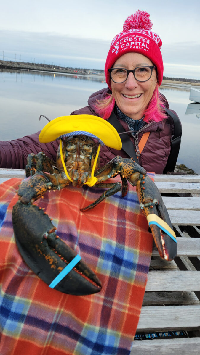 Lucy the Lobster Nova Scotia