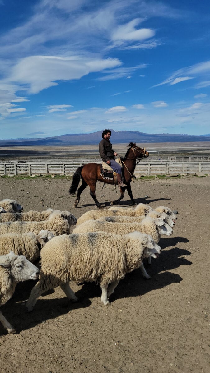 gaucho patagonia