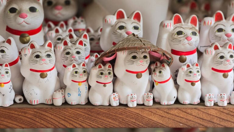 Japan Cat Tour
