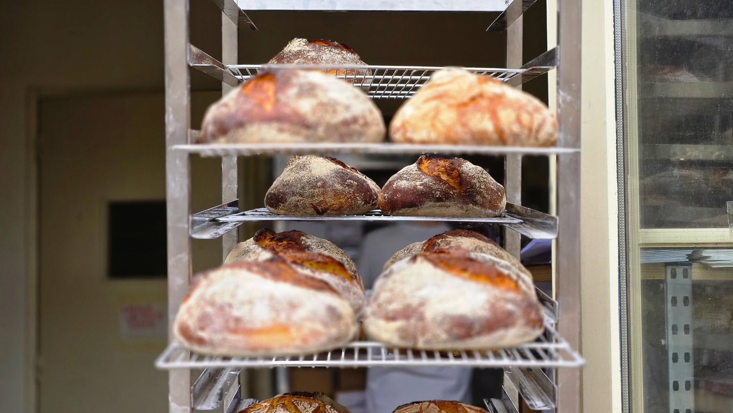 france bread