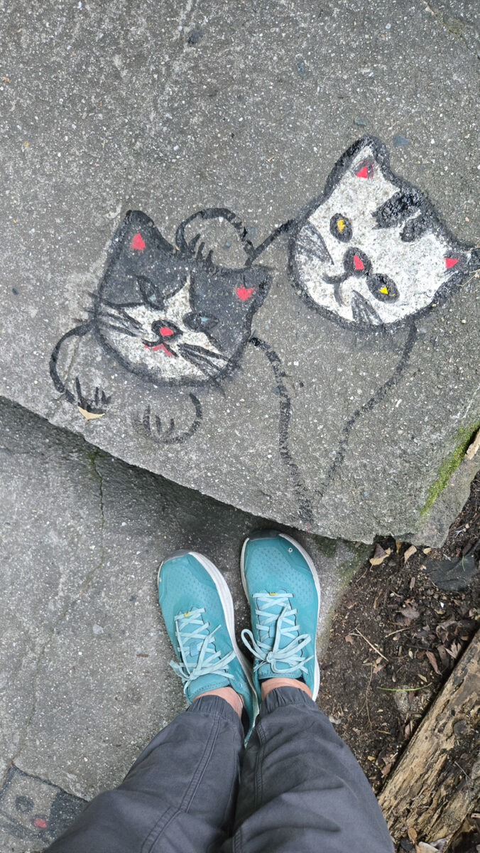 onomichi cat alley artist