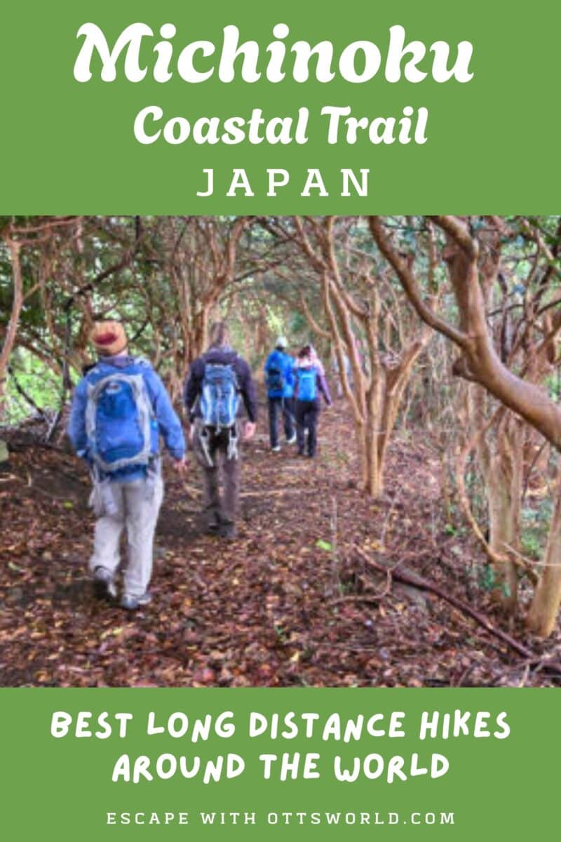 A traveler hiking along the Michinoku Coastal Trail in Japan, surrounded by lush trees and nature.